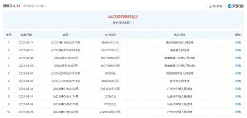 恒大集團(tuán)被強(qiáng)執(zhí)2.9億,累計(jì)被執(zhí)行44億